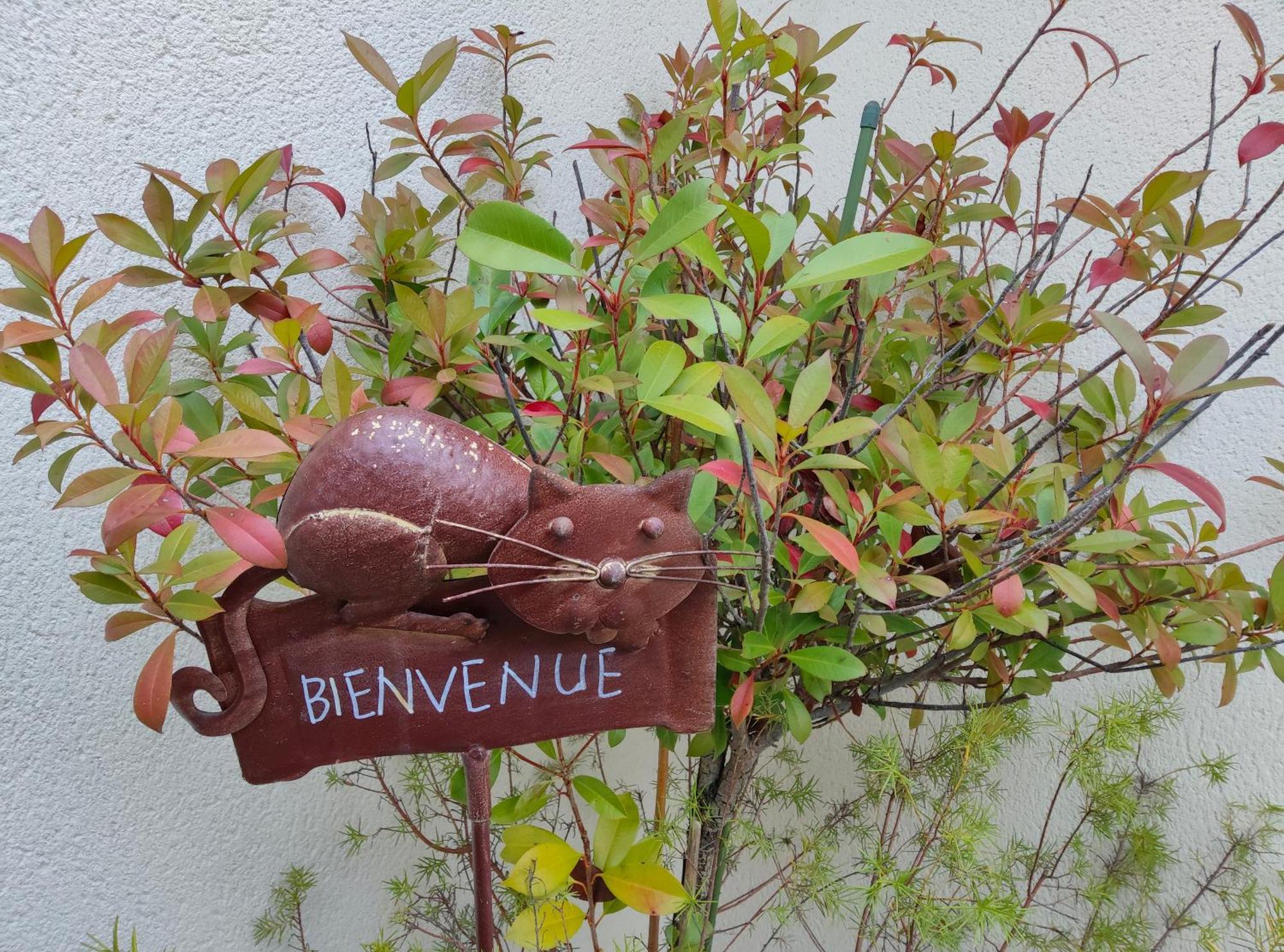 Du Cote De Chez Paule, Chambre Avec Entree Independante Et Salle D'Eau Privative Séméac 외부 사진